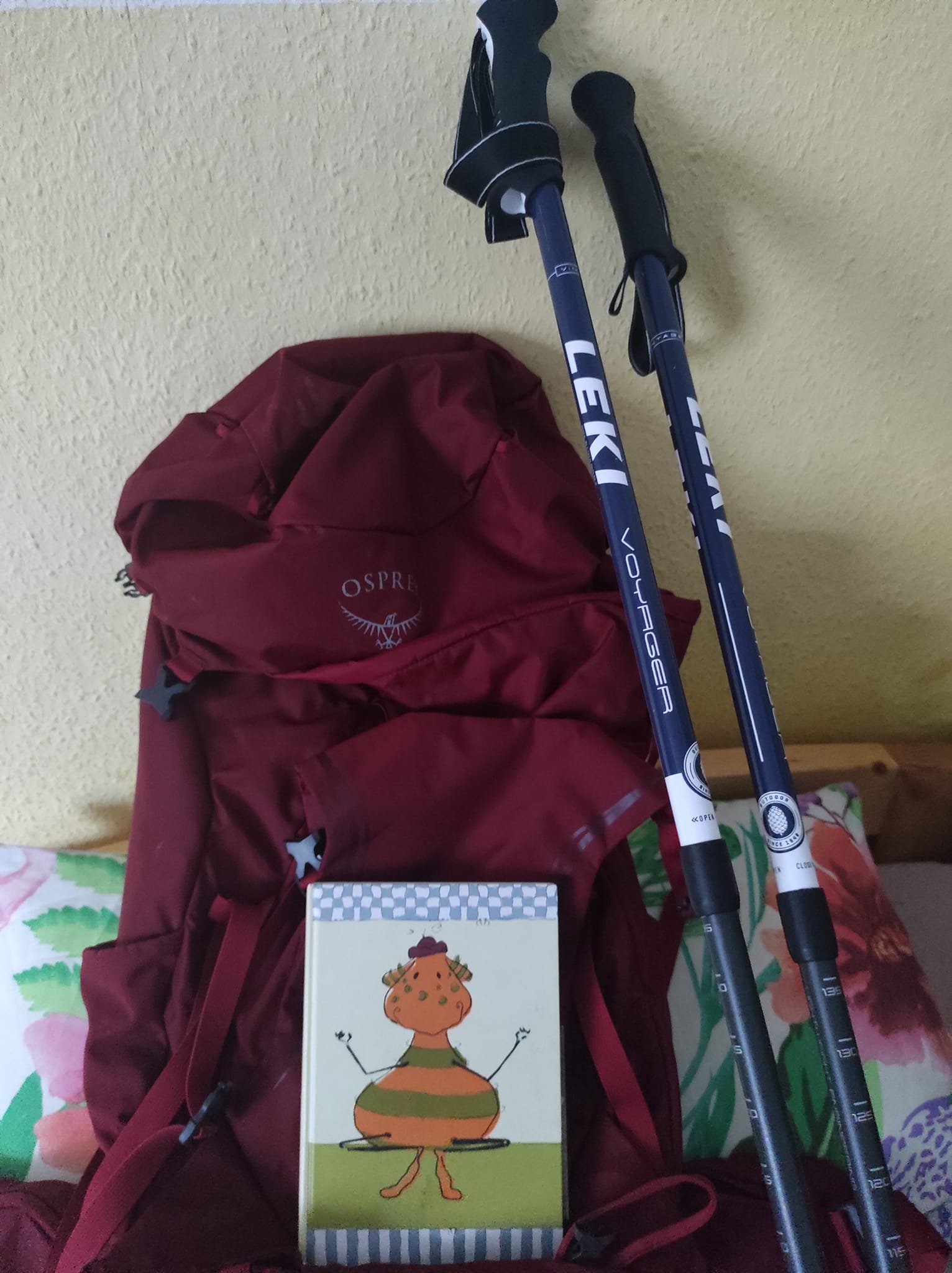 Meine große Reise geht weiter